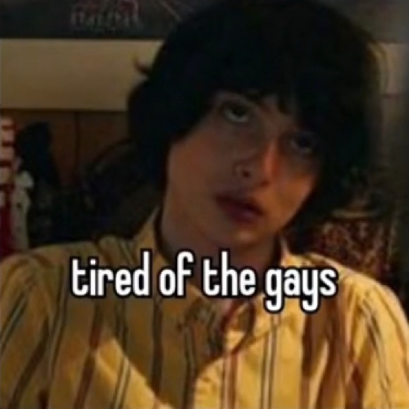 Meet your Posher, Chloe - Picture 1 of 1